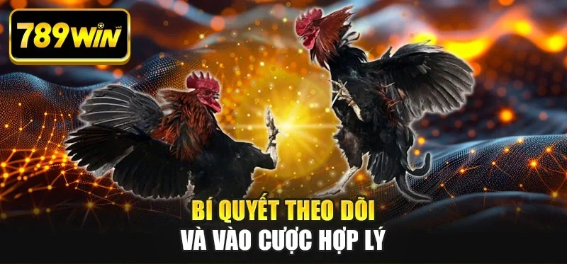 Bí quyết theo dõi và vào cược hợp lý Bí quyết theo dõi và vào cược hợp lý
