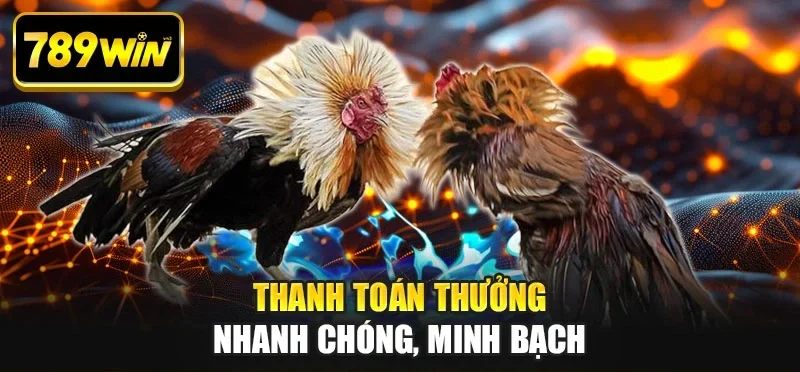 Thanh toán thưởng nhanh chóng, minh bạch Thanh toán thưởng nhanh chóng, minh bạch